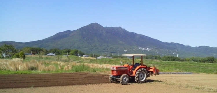 マスター休みの日の草刈画像